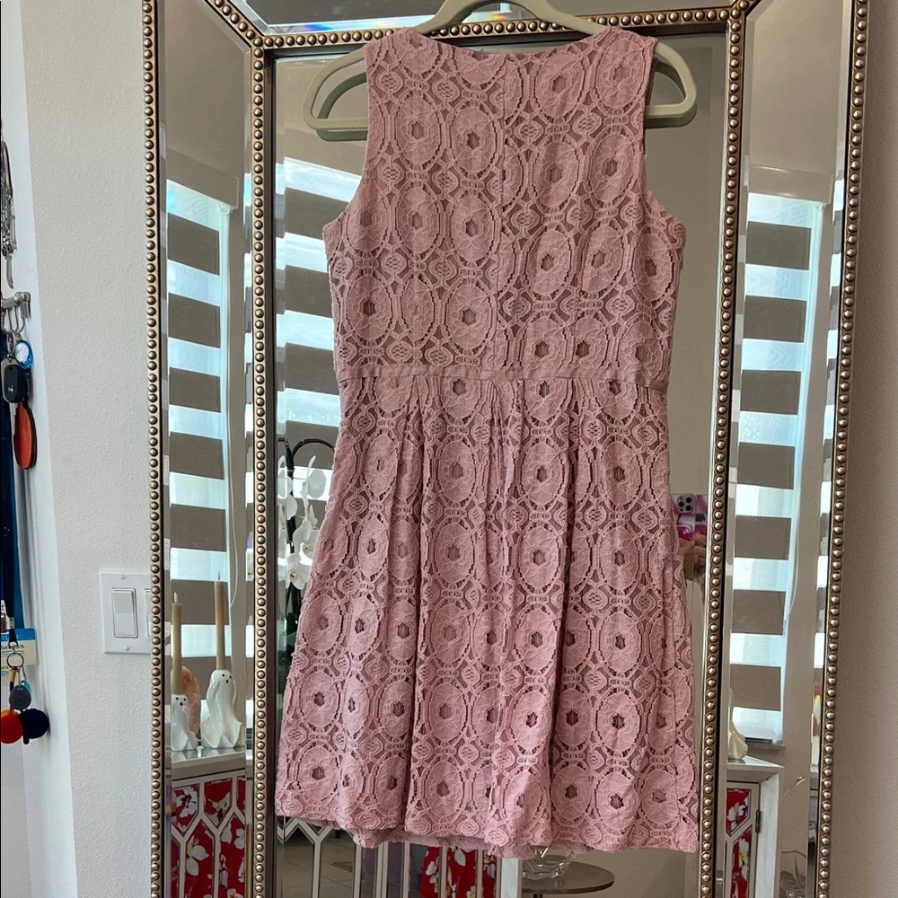 Ronni Nicole Blush Lace Mini Dress - Picture 5 of 6